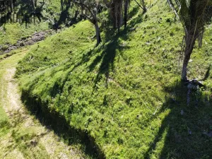 Prodej pozemku, Coxen Hole, Roatán, Honduras, 400 m2