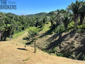 Prodej pozemku, Coxen Hole, Roatán, Honduras, 400 m2