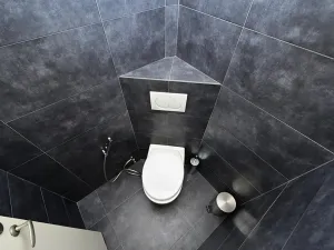 Pronájem bytu 4+kk, Praha - Vinohrady, Londýnská, 96 m2