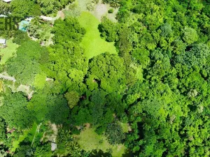 Prodej pozemku, Coxen Hole, Roatán, Honduras, 3265 m2