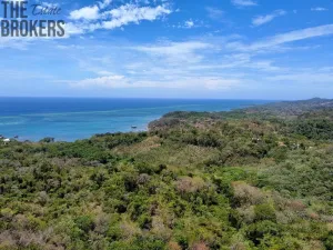 Prodej pozemku, Coxen Hole, Roatán, Honduras, 1012 m2