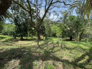 Prodej pozemku, Coxen Hole, Roatán, Honduras, 1872 m2
