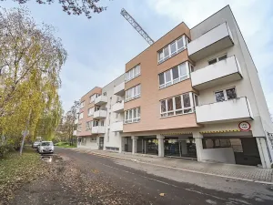 Prodej bytu 1+kk, Praha - Žižkov, U staré cihelny, 41 m2
