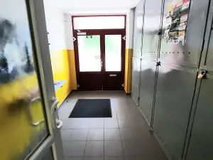 Pronájem bytu 2+1, Litoměřice, Vrchlického, 52 m2