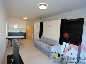 Pronájem bytu 1+kk, Praha - Karlín, U Mlýnského kanálu, 42 m2