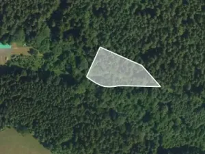 Prodej podílu pole, Těchonín, 538 m2