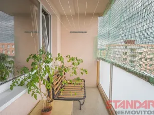 Pronájem bytu 1+kk, Plzeň, Tachovská, 34 m2