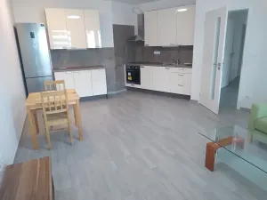 Prodej bytu 3+kk, Praha - Žižkov, Olgy Havlové, 71 m2