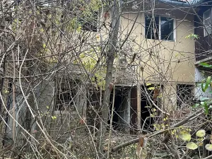 Prodej zahrady, Brno, Vinohrady, 990 m2