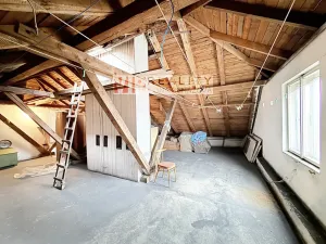 Prodej vícegeneračního domu, Dlouhá Loučka, Na Fibichu, 238 m2