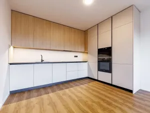 Pronájem bytu 2+kk, Olomouc, Loudova, 55 m2