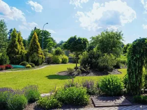 Prodej rodinného domu, Borovany, 237 m2