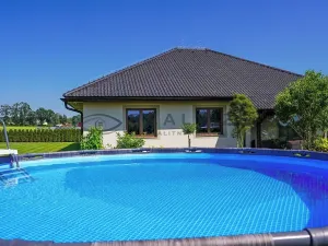 Prodej rodinného domu, Borovany, 237 m2