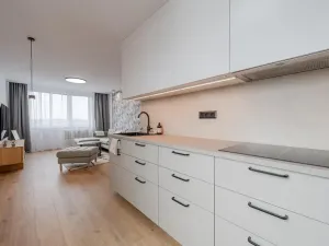 Prodej bytu 3+kk, Praha - Chodov, Radimovická, 63 m2