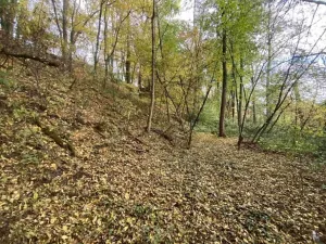 Dražba pozemku, Svijany, 2639 m2