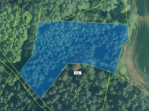 Dražba lesa, Kuřimany, 4499 m2