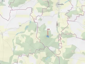 Dražba lesa, Kuřimany, 8912 m2