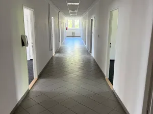 Pronájem kanceláře, Praha - Žižkov, U zásobní zahrady, 276 m2