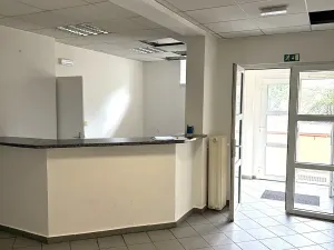 Pronájem kanceláře, Praha - Žižkov, U zásobní zahrady, 476 m2