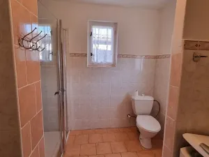 Prodej rodinného domu, Staré Hradiště, U Špejcharu, 190 m2