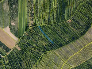 Prodej zahrady, Židlochovice, 2207 m2