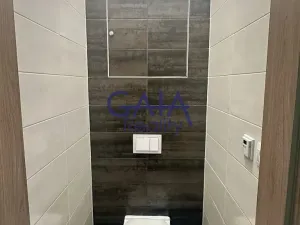 Pronájem bytu 1+kk, Kyjov, Vinařská, 37 m2