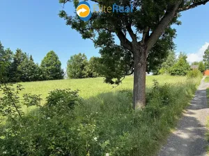 Prodej pozemku pro bydlení, Razová, 7007 m2