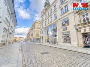 Pronájem restaurace, Plzeň - Vnitřní Město, Zbrojnická, 598 m2