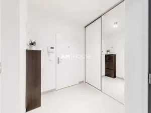 Pronájem bytu 1+kk, Praha - Karlín, Sokolovská, 40 m2