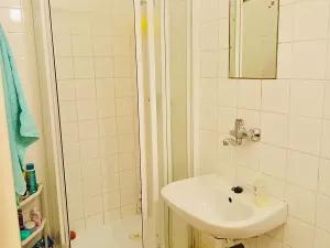 Pronájem bytu 1+kk, Třebíč, Hasskova, 23 m2