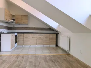 Pronájem bytu 4+kk, Peruc, U Koupaliště, 116 m2