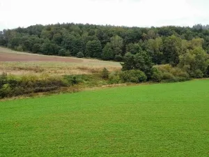 Prodej pozemku, Kostelec nad Černými lesy, 12366 m2