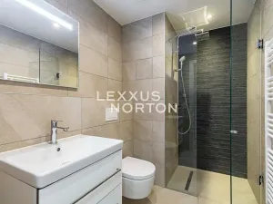 Pronájem bytu 1+kk, Praha - Stodůlky, Ujgurská, 41 m2