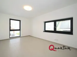 Pronájem rodinného domu, Šestajovice, Konopišťská, 250 m2