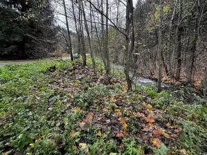 Prodej pozemku pro bydlení, Kounov, 1286 m2