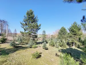 Prodej komerčního pozemku, Popůvky, 971 m2