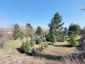 Prodej komerčního pozemku, Popůvky, 971 m2