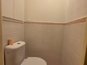 Pronájem bytu 2+1, Frýdek-Místek, Anenská, 67 m2