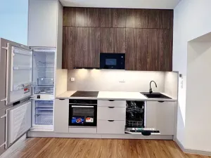 Prodej bytu 2+kk, Český Těšín, Frýdecká, 44 m2