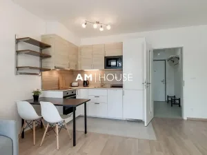 Pronájem bytu 1+kk, Praha - Žižkov, Malešická, 38 m2