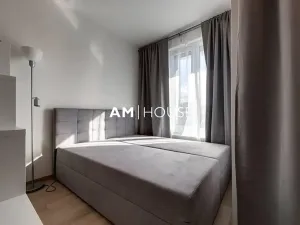 Pronájem bytu 1+kk, Praha - Žižkov, Malešická, 38 m2