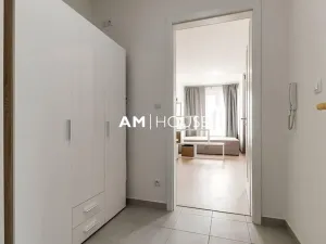 Pronájem bytu 1+kk, Praha - Žižkov, Malešická, 38 m2