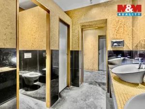 Pronájem obchodního prostoru, Jesenice, Budějovická, 289 m2