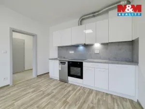 Pronájem bytu 1+1, Mariánské Lázně - Úšovice, Palackého, 32 m2