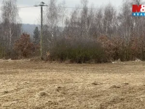 Prodej louky, Velké Popovice, 3090 m2