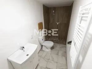 Pronájem bytu 2+kk, Štěpánkovice, Mlýnská, 52 m2