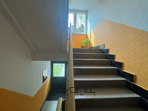 Pronájem bytu 2+kk, Ostrava, Edisonova, 50 m2