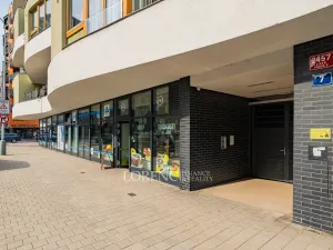 Pronájem bytu 2+kk, Praha - Libeň, Ocelářská, 65 m2