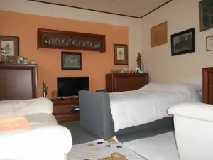 Prodej rodinného domu, Ledeč nad Sázavou, Nad Lesem, 248 m2