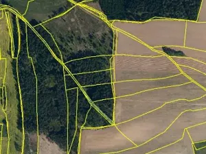 Prodej lesa, Červená Řečice, 308 m2